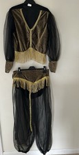 Arabian Nights Princess Dress Up Costume Fancy Dress One Size