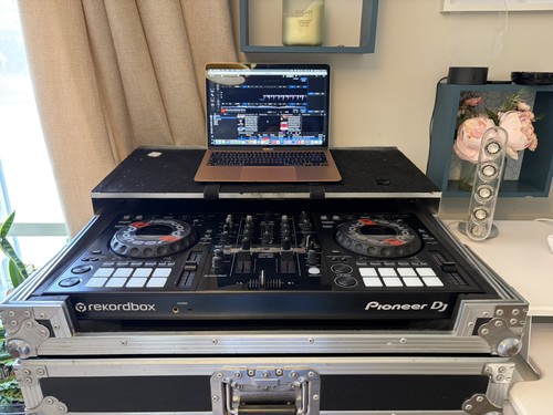 Gorilla flight case - gorilla, with