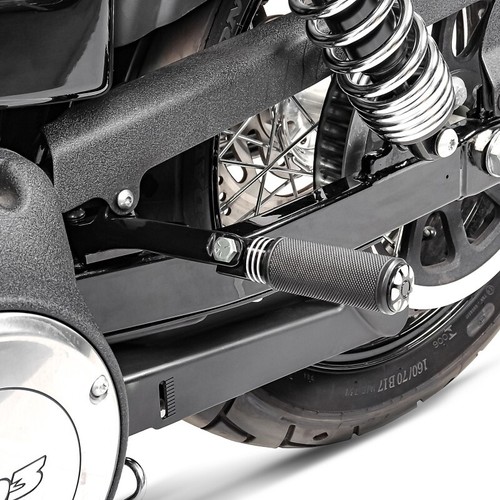 Passenger footpegs support for