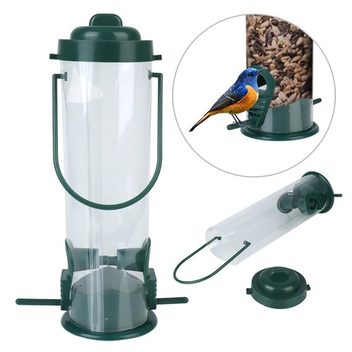 Wild garden bird seed - wild,