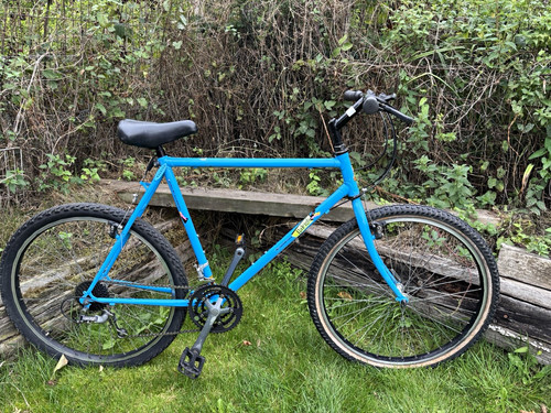 Raleigh montage vintage