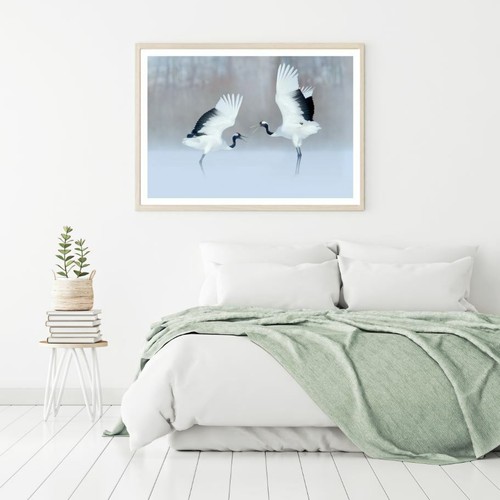 Cranes pair scenery photograph - cranes,