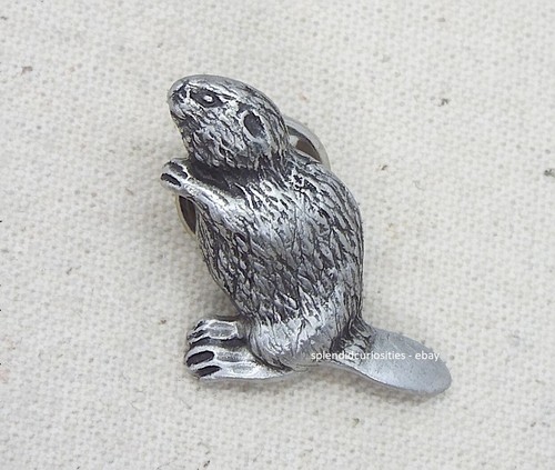 Beaver pin badge - beaver,