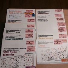 Job lot -  15  Guardian Wall