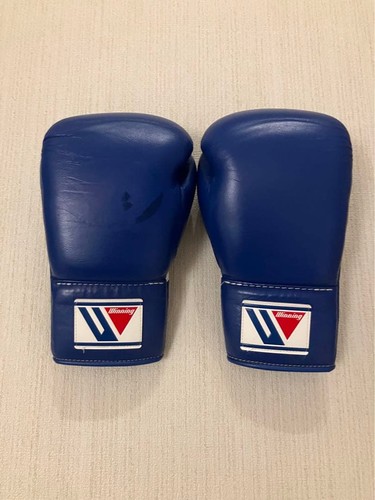 Winning boxing gloves - winning,