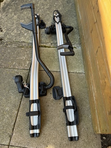 Pair genuine jaguar - of,