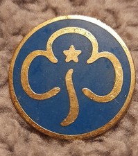 blue Girl Guides promise badge