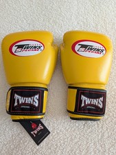 Twins Special Muay Thai Boxing