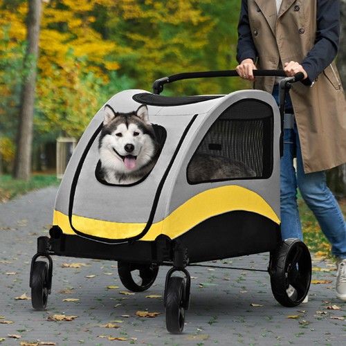 Bingopaw large pet dog - bingopaw,