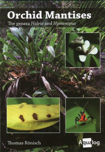 Aqualog orchid mantises - aqualog,