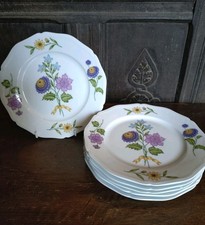 Raynaud Limoges Ceralene - Fleurs de Printemps Set of 6 Plates - 22cm - VGC