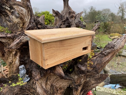 Swift box natural cedar - box,