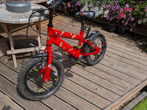 Kids raleigh striker bike - kids,