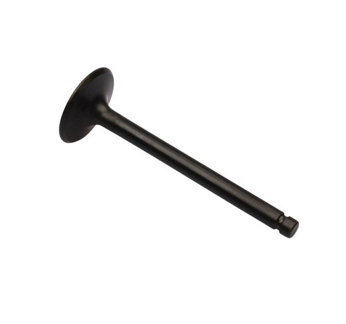Exhaust valve for - exhaust,