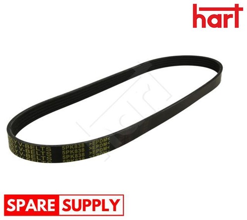 Ribbed belt for - belt,