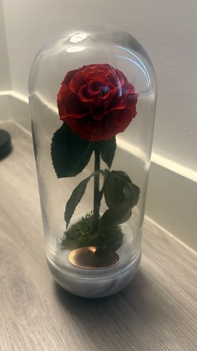 Gifts for her him - her/him, capsule