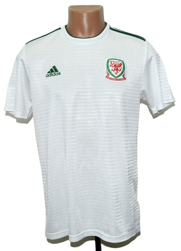 Wales national team - team, 2018