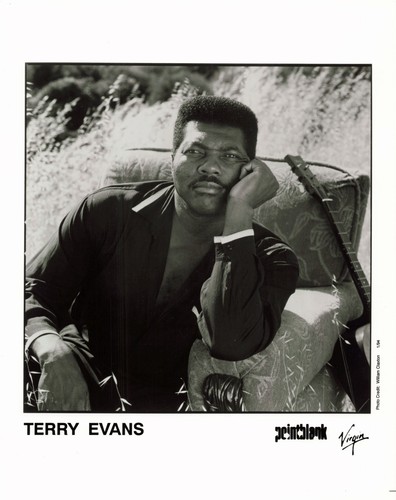 Terry evans vintage original - vintage,
