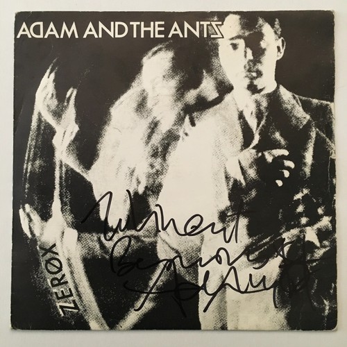 Adam the ants zerox 7 - adam,