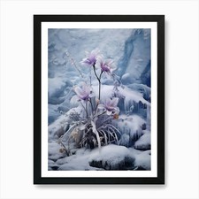 Beautiful Winter Flowers 37