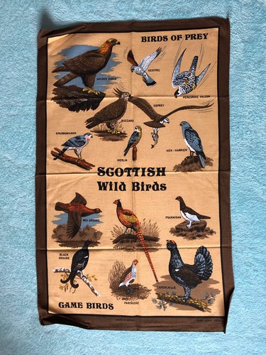 Glen appin scottish birds tea - scottish,