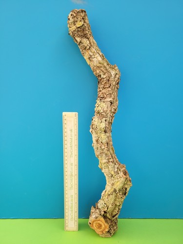 Cork bark branch - bark,