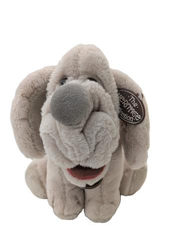 Ganz wrinkles puppy - ganz, dog