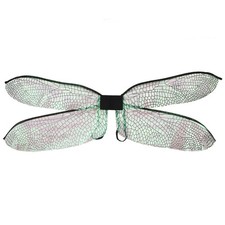 Colorful Dragonfly Butterfly