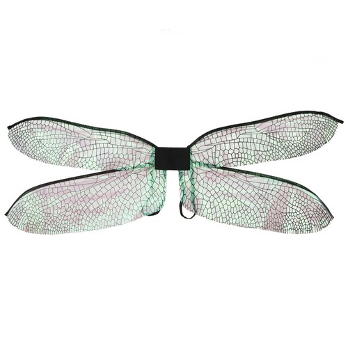 Colorful dragonfly butterfly - dragonfly,