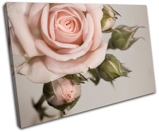 Rose shabby chic vintage - rose,