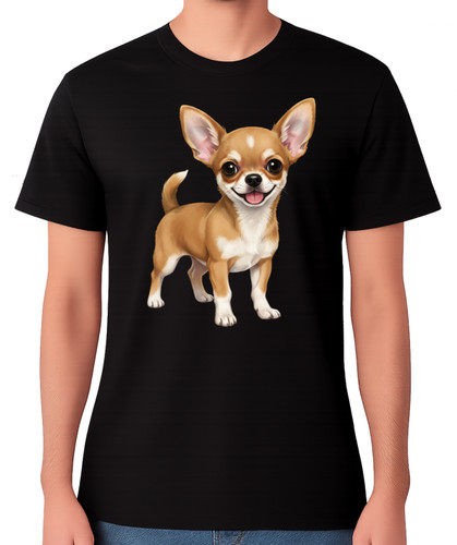 Cute chihuahua dog - chihuahua,