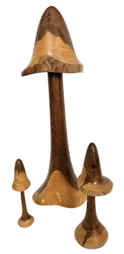Hand turned mushrooms - turned,