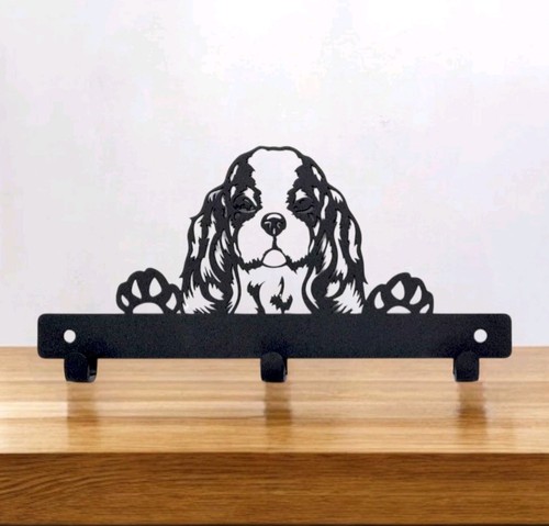 Cavalier king charles - cavalier, spaniel