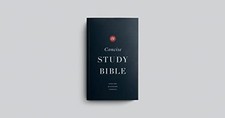 ESV Concise Study Bible™, Economy Edition (Pape..., ESV