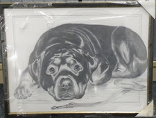 FRAMED DOG PRINT By Pollyanna Pickering