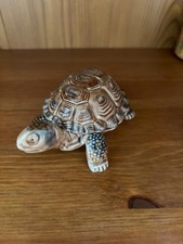 Large Wade Tortoise Trinket