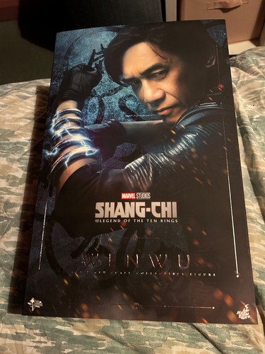 Hot toys wenwu movie - wenwu,