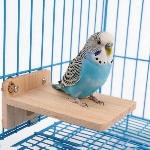 Corner springboard wood bird - springboard,