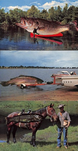 Chrome exaggerated postcards - chrome,