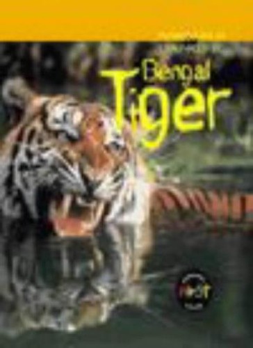 Animals danger bengal - animals, danger: