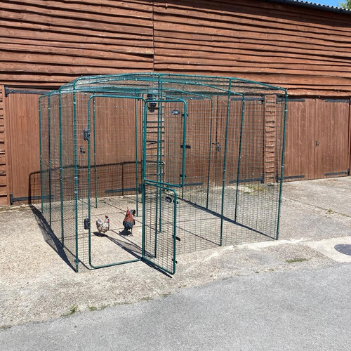 Omlet chicken walk - 3m, x