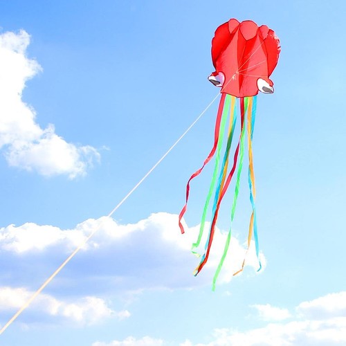 Kites single line - single-line, flying