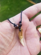 Authentic wolf tooth pendant
