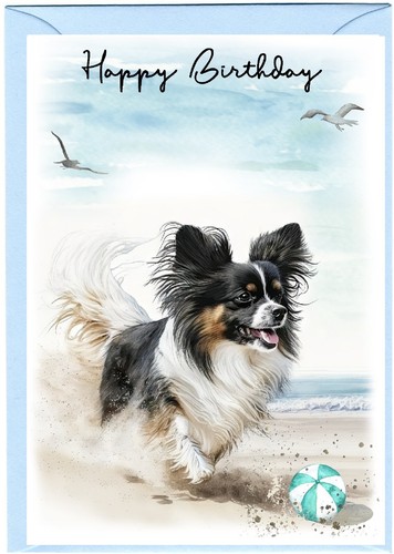 Papillon butterfly dog x - papillon,