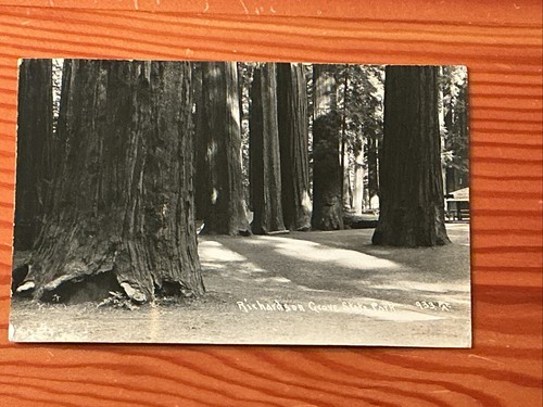 Rppc richardson grove state - richardson,