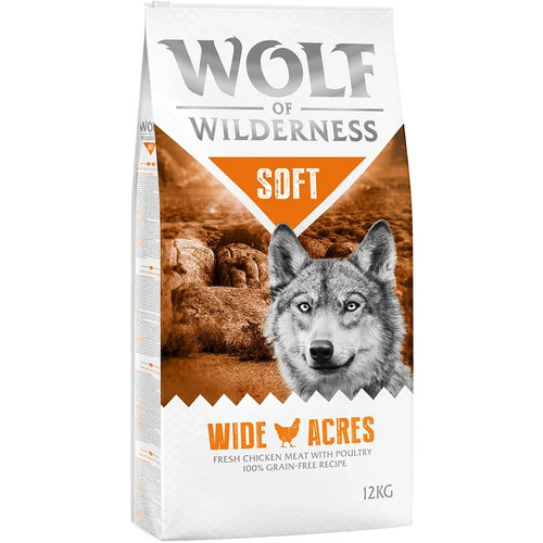 Wolf wilderness dog - of, dry-