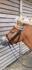 HUNTER LEATHER BRIDLES SMALL