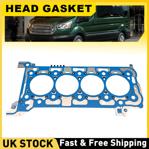 Cylinder head gasket - cylinder,