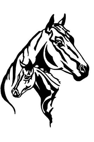 Horse foal vinyl - 6”,