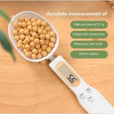 Digital Electronic Scale Spoon